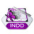 Adobe indesign indd Icon